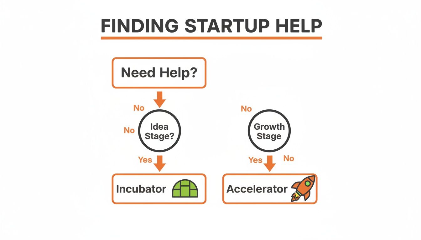 A flowchart demonstrating where to find startup help based on the business stage.